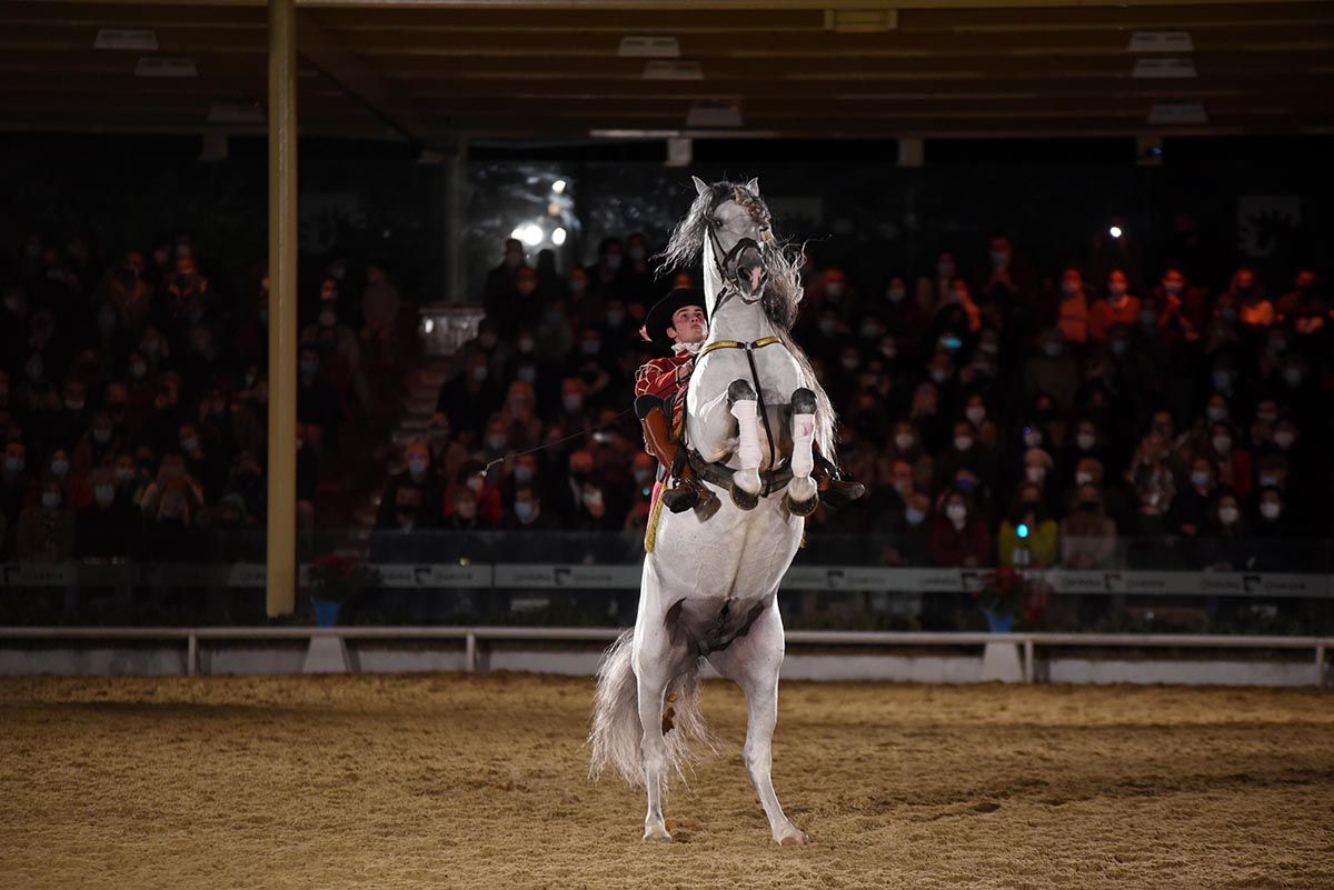 La escuela francesa de equitación Cadre Noir celebra en Córdoba el 25 aniversario de Cabalcor