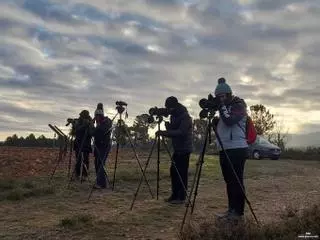 El lobo, un nicho para atraer turismo a Zamora