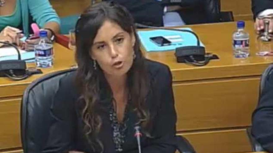 Captura de pantalla de la intervención de Elisa Díaz sobre el Plan Rabasa ayer en las Cortes.