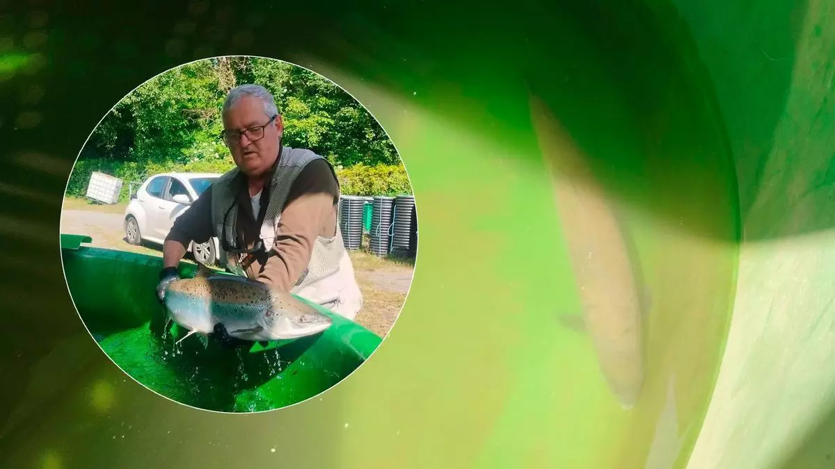 VÍDEO: "Viso", el campanu del Narcea supera la primeras 24 horas en el centro de alvinaje de "Las Mestas"