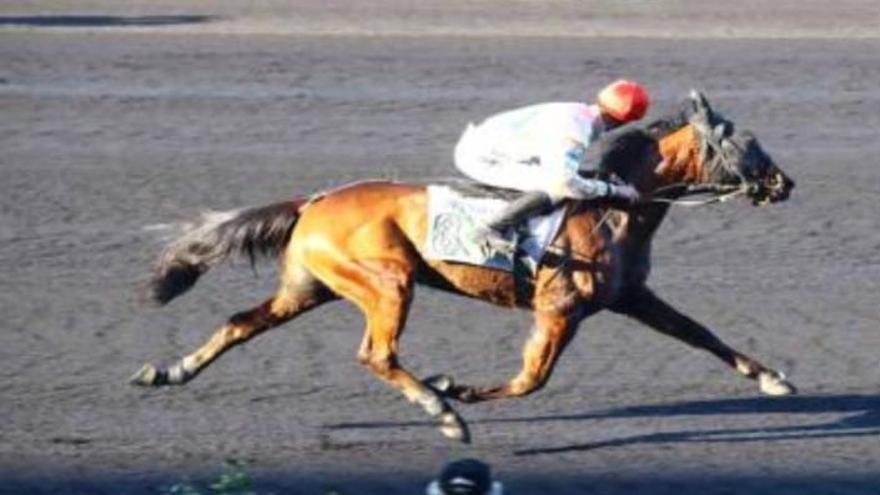 Jalienorth Game, durante la prueba en París-Vincennes.