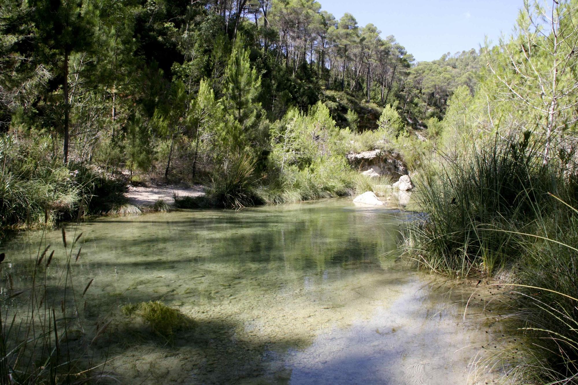 Un paseo por… Bicorp