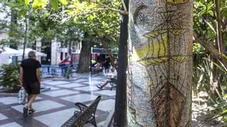 Más degradación en la plaza Gabriel Miró: ahora, pintadas