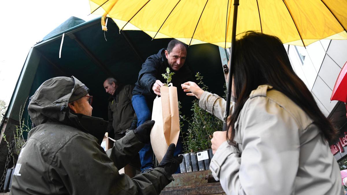 VÍDEO | Reparto de árboles en Zamora por parte de la Junta de Castilla y León