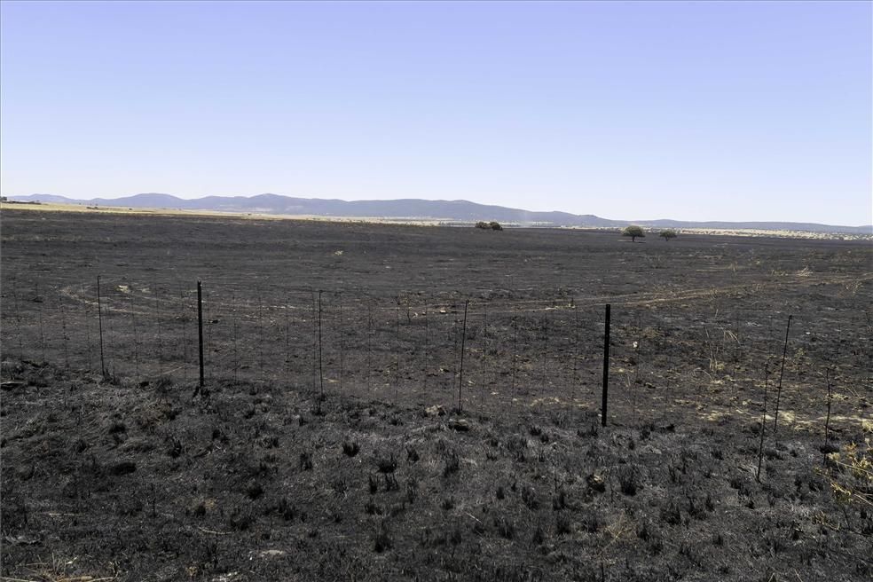 Incendio forestal en Cáceres