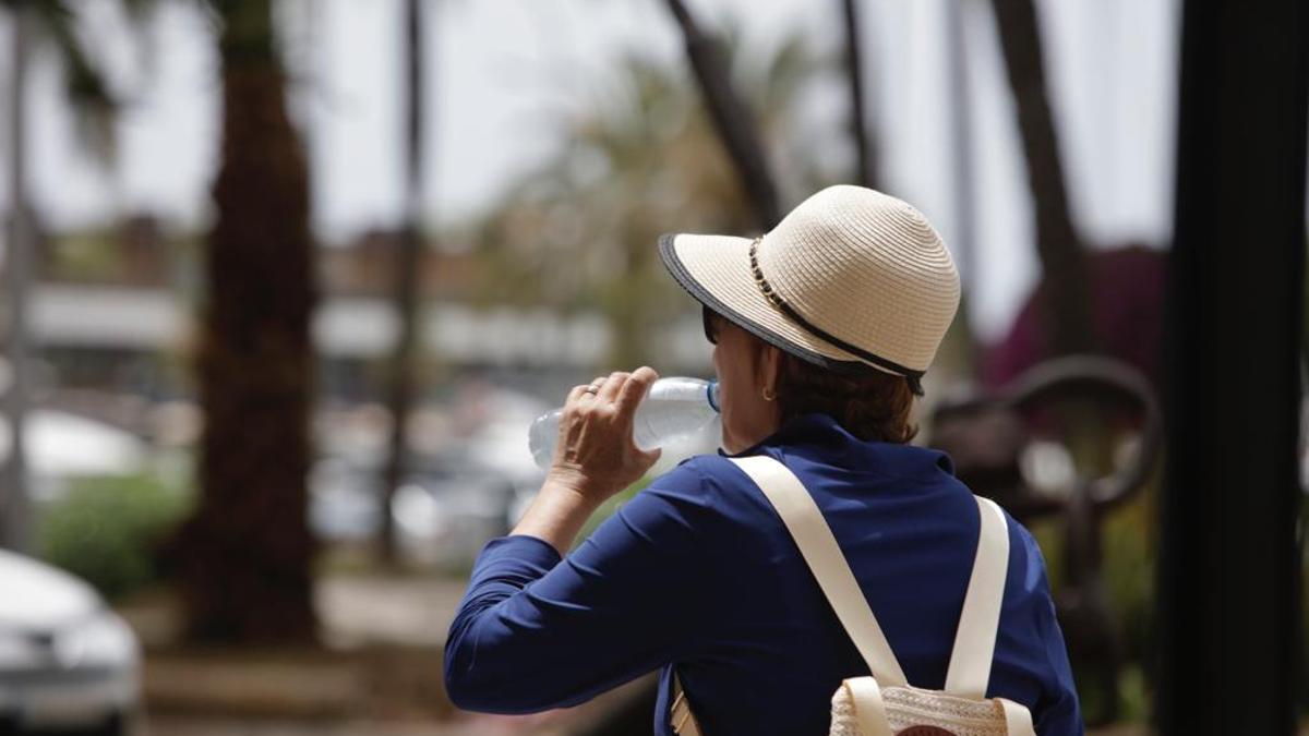 Una ciudadana bebe agua en el Passeig Sagrera de Palma
