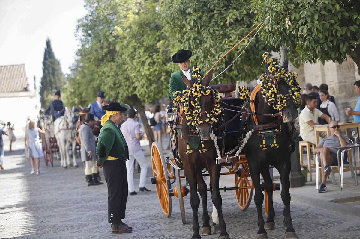 Concurso de atalaje de Córdoba en Cabalcor