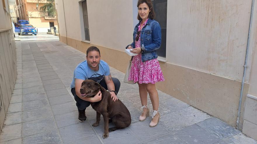 Recuperan a una perra labradora perdida en Lorca por el microchip obligatorio