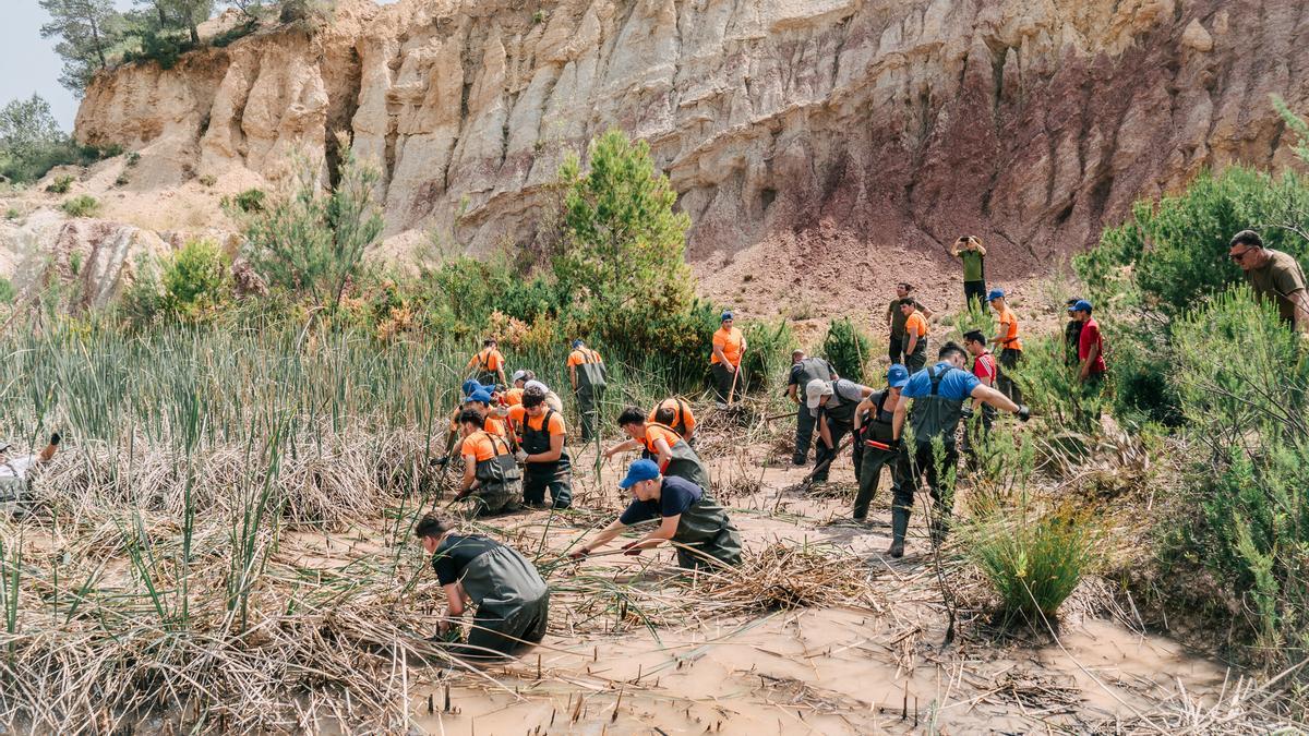 Treballs de restauració de la tolla de l’antiga pedrera realitzats pel voluntariat de Ford, brigades ambientals i tècnics de la Fundació Oceanogràfic.