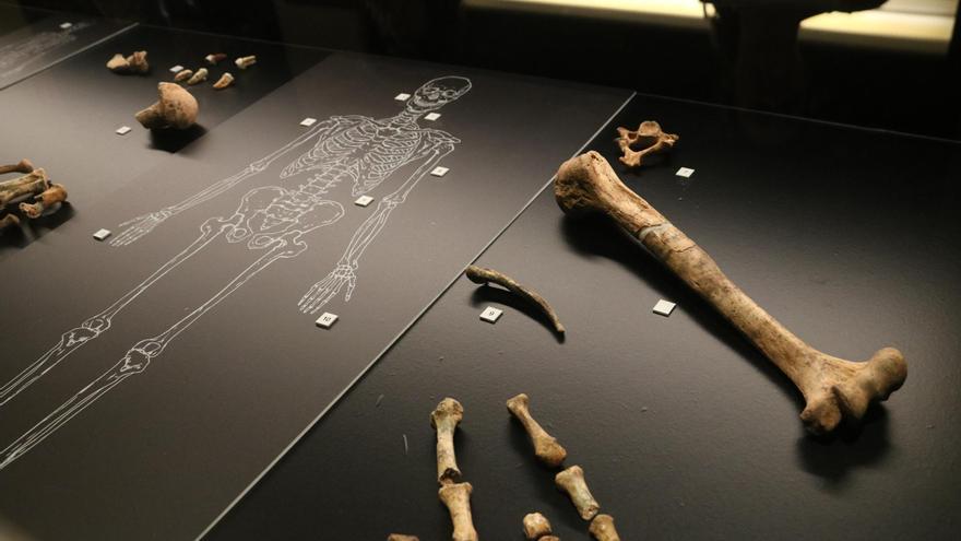 Identifiquen 54 restes neandertals de fa més de 50.000 anys al parc de Sant Llorenç del Munt i l&#039;Obac