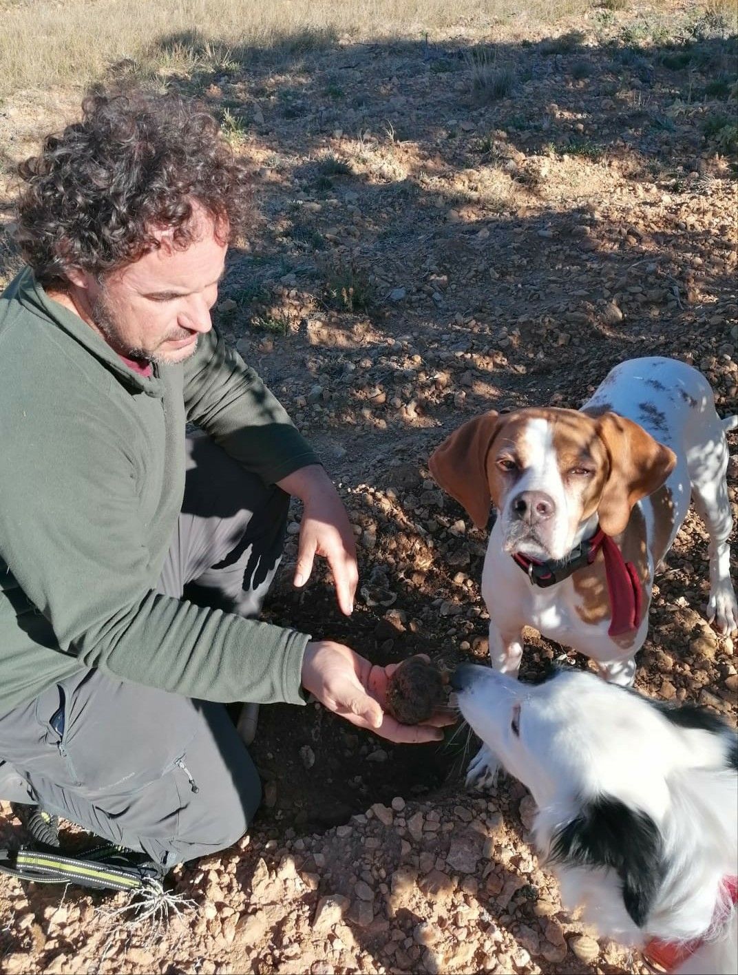 La truficultura invade la Serranía: una alternativa a los cultivos de serrano tradicionales