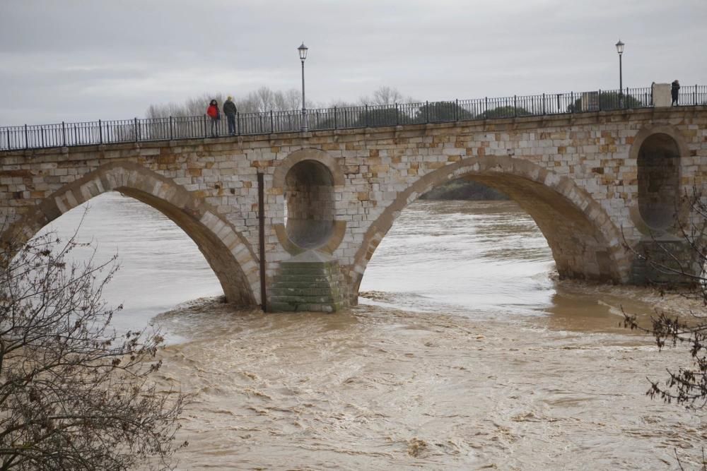 Crecida del río Duero en Zamora capital.