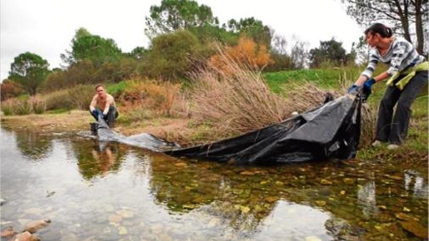 Voluntaris treuen quatre tones de runa  i 200 de deixalles del riu Daró a les Gavarres