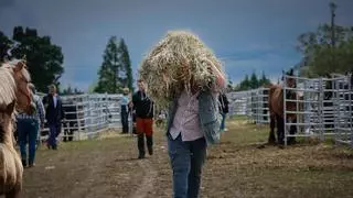 Todas las imágenes de San Isidro en Llanera, con buenas operaciones de caprino y un rebaño que se vendió por 9.500 euros