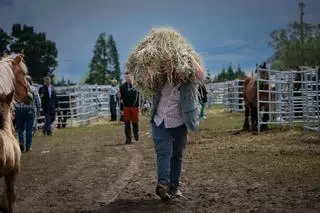 La feria de San Isidro, en imágenes