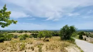 Regen und niedrigere Temperaturen: Das Wetter auf Mallorca wird wechselhaft