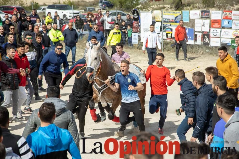 Carrera de entrenamiento de los Caballos del Vino