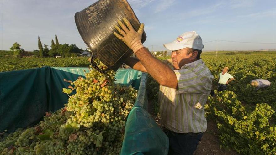 Los sindicatos exigen más sueldo en el campo y medidas de seguridad