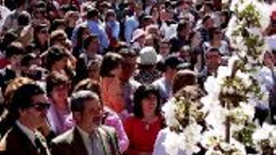 El Jerte y la Junta potenciarán la fiesta del Cerezo en Flor