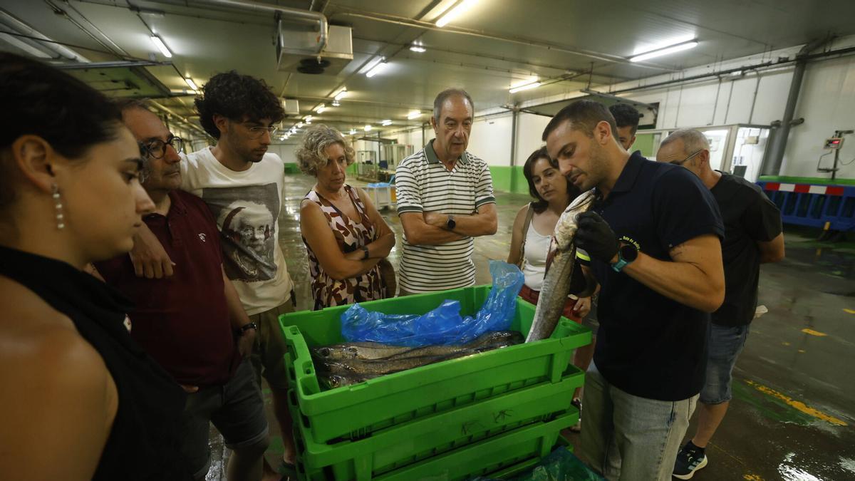 En imágenes: la rula de Avilés pesca turistas con sus visitas guiadas