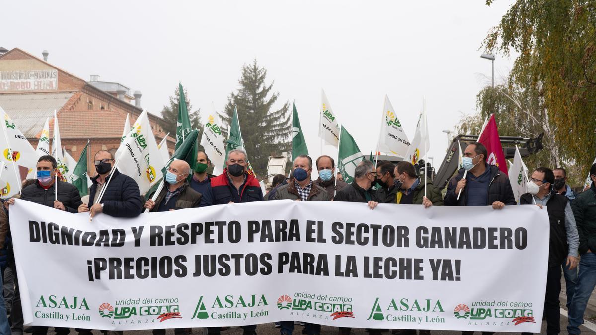 Protesta de ganaderos de vacuno de leche en Zamora.
