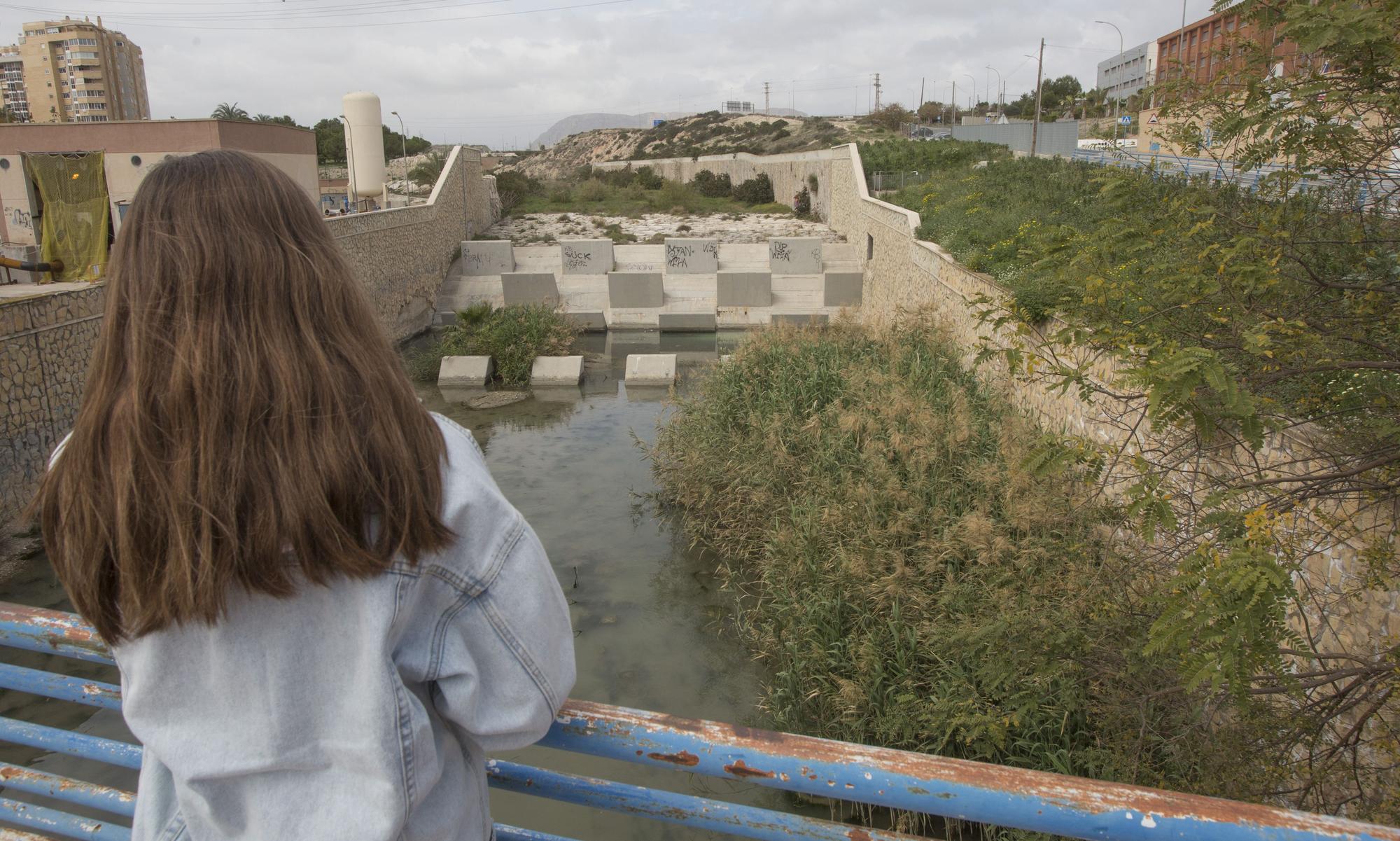 Nadie quiere limpiar el Barranco de las Ovejas en Alicante