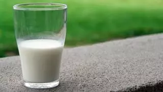 Es una "compra maestra", la OCU elige esta leche como la mejor del supermercado