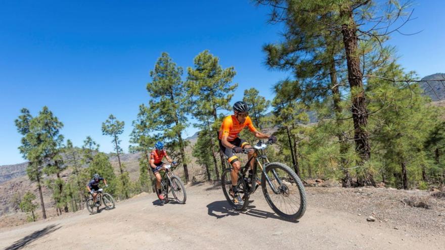 Tres corredores en pleno esfuerzo, durante una de las etapas de la pasada edición de la Transgrancaria Bike. | | LP/DLP