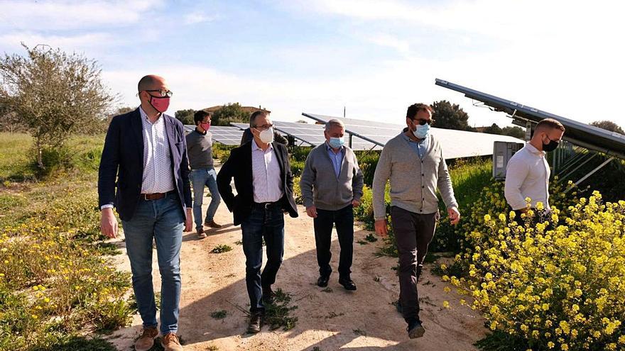 Una planta fotovoltaica de Consell aporta energía a la red