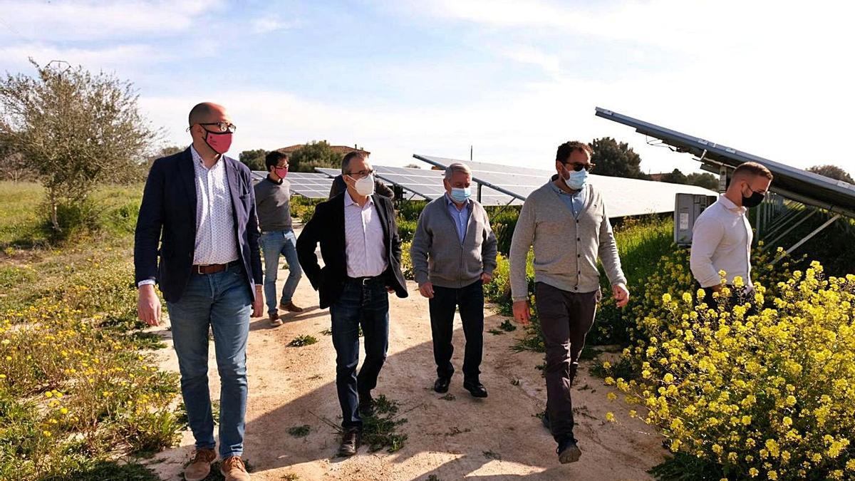 Una planta fotovoltaica de Consell aporta energía a la red | CAIB