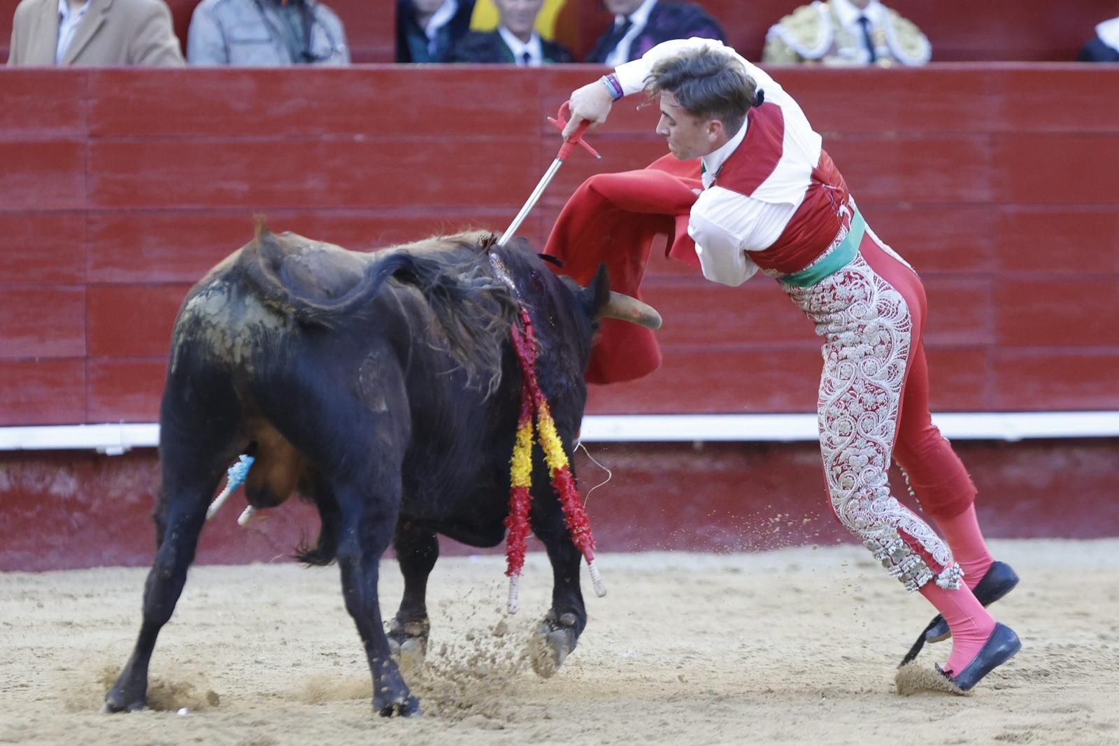 La novillada sin picadores de la Feria de Fallas, en imágenes