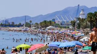 "Isla de calor", "noche tropical" o "estrés hídrico": este es el vocabulario del calor para el verano en Málaga