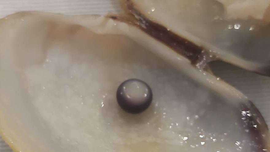 La perla dentro de la almeja