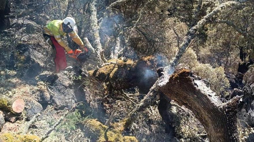 El alcalde de Fermoselle sobre el incendio: "Todo indica que ha sido provocado"