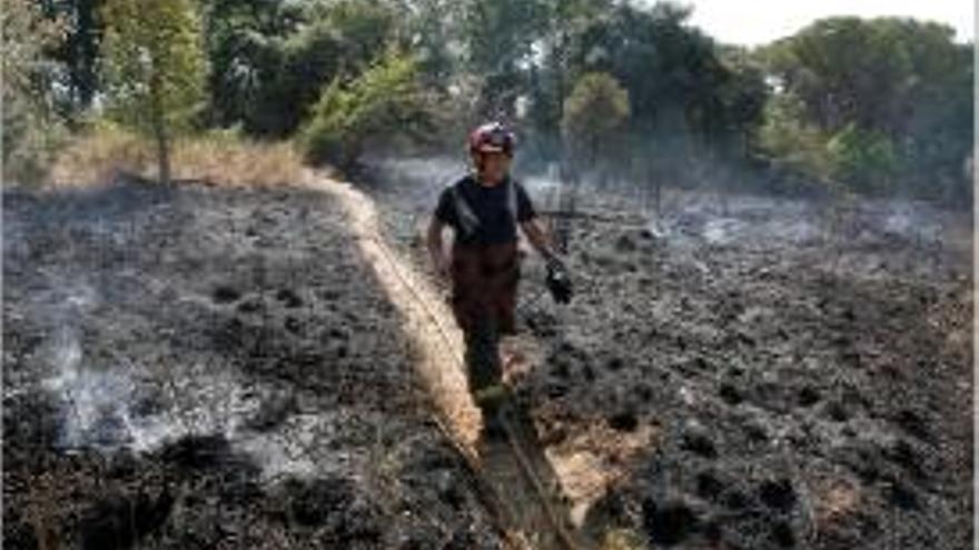 El foc va cremar una zona de matolls.