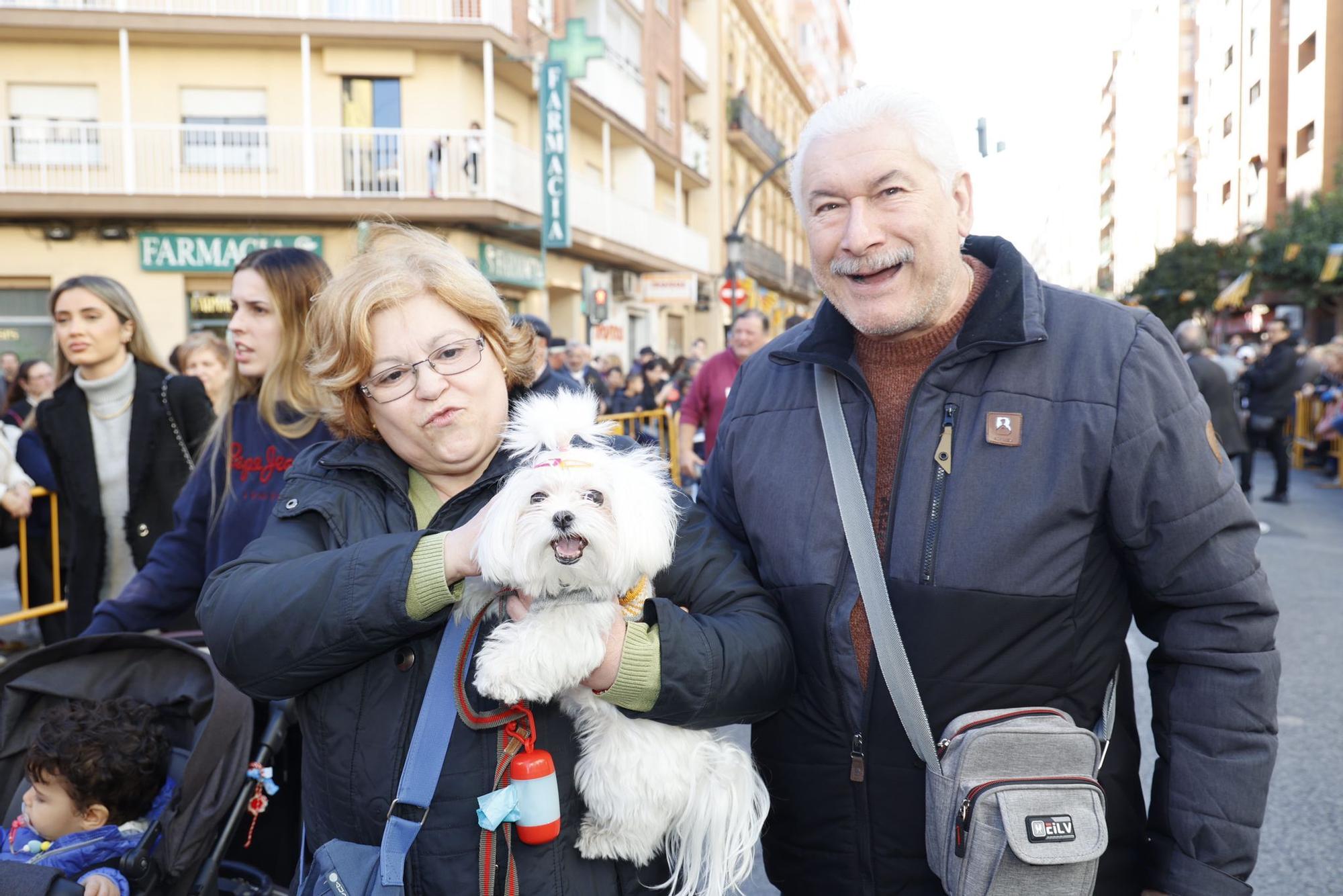 Búscate en la bendición de animales de Sant Antoni de València