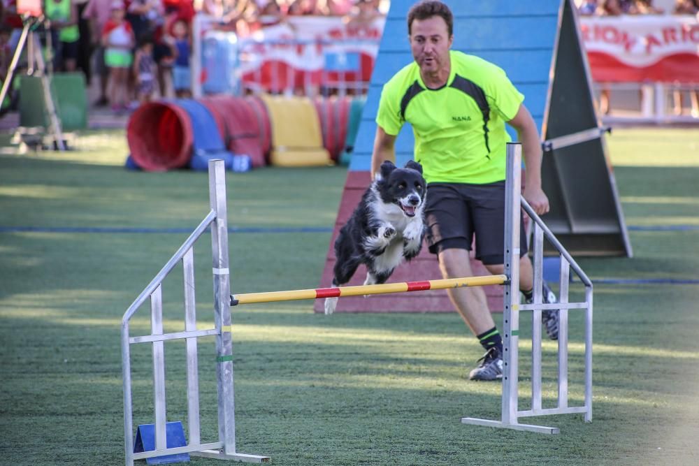 Cornadas de diversión en la Feria del Ganado de Do