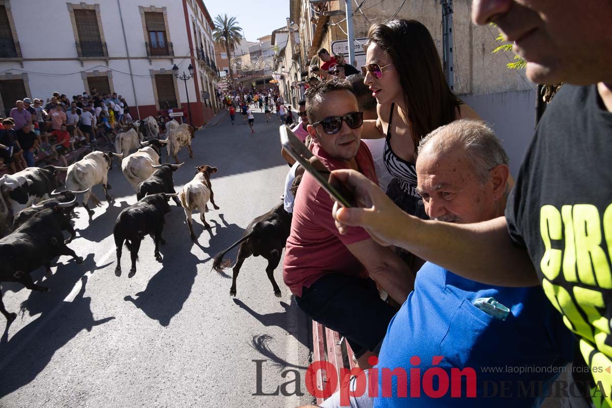 Último encierro en las Fiestas de Moratalla