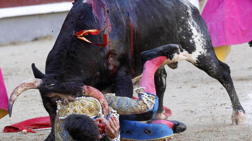 Grave cogida al novillero García Navarrete en Las Ventas