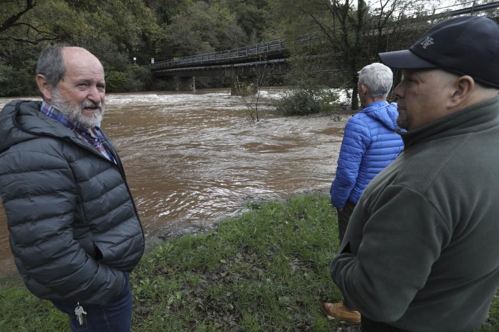 El río Nalón desbordado a su paso por Pravia y Quinzanas