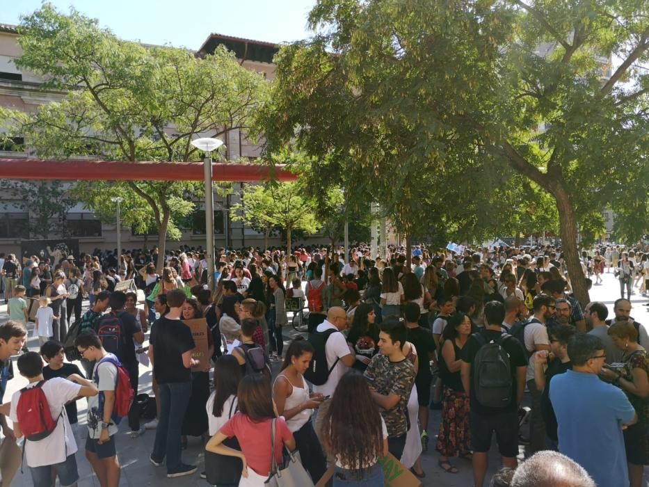 Die große Klimaschutz-Demo auf Mallorca