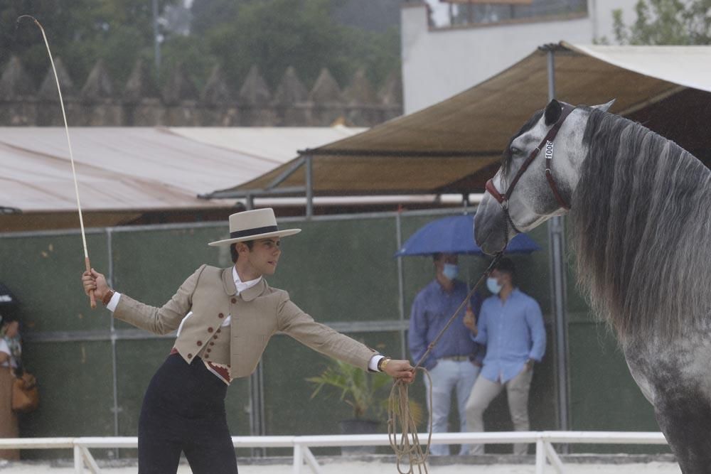 Cabalcor puede con la lluvia y el Covid