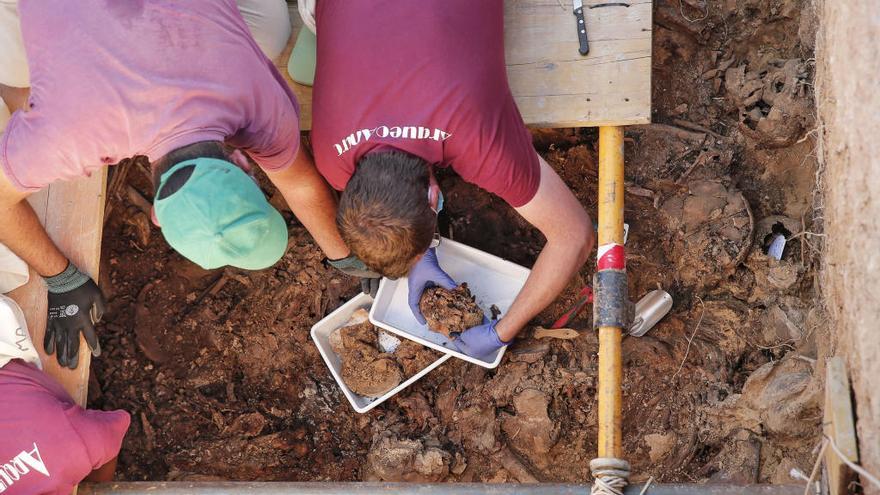 Trabajos en la fosa 113 de Paterna.