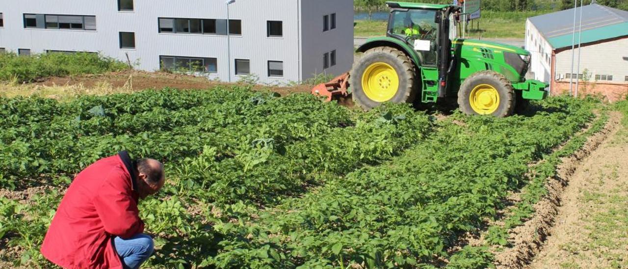 Más cultivos ecológicos y nuevos espacios protegidos, retos para la legislatura en el campo