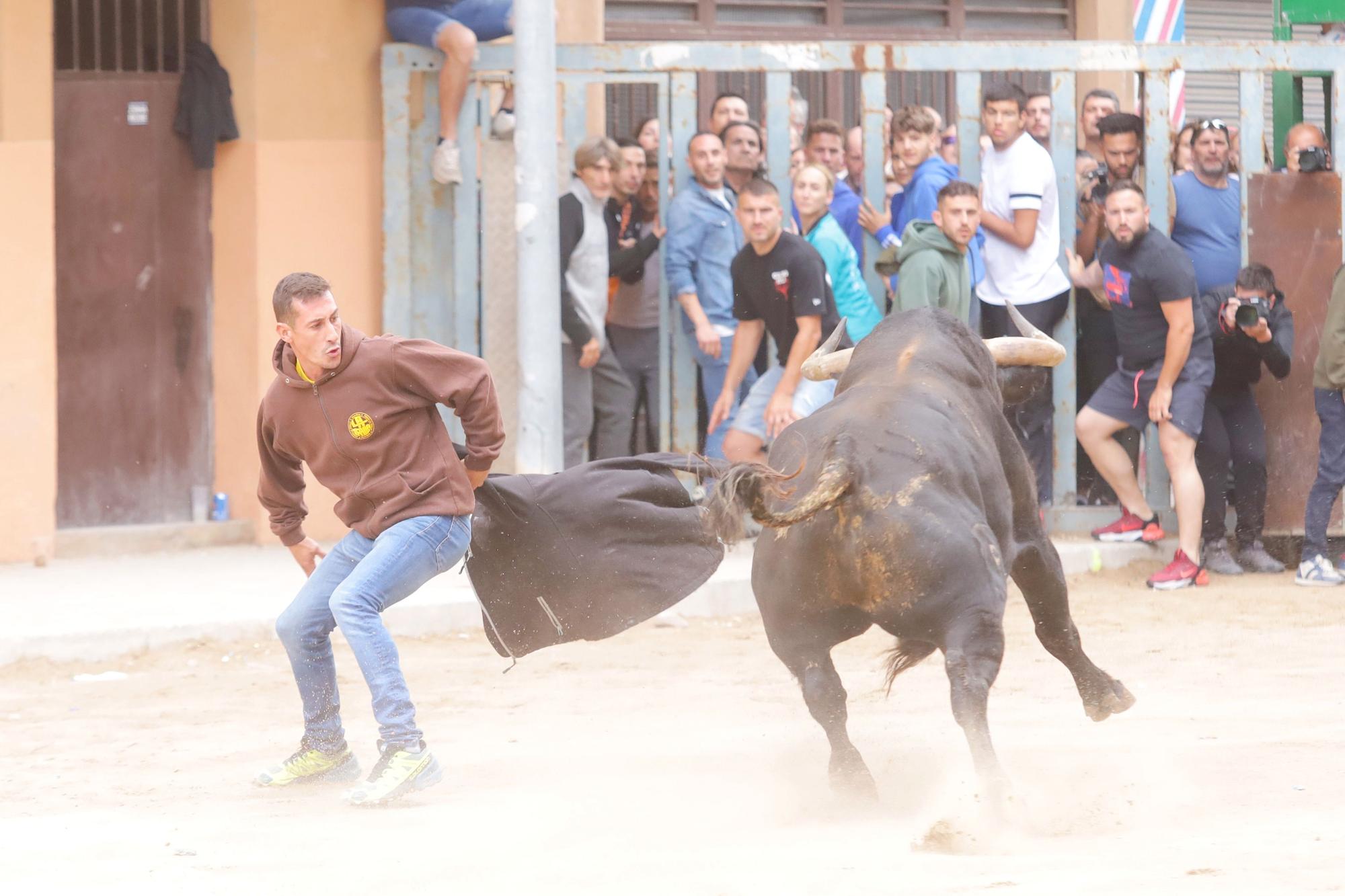 Las imágenes de la séptima jornada de las fiestas de Sant Pasqual del 2023 en Vila-real