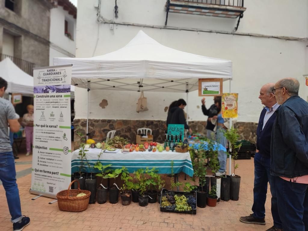 19 Encuentro de los Pueblos del Parque Natural de la Serra d'Espadà