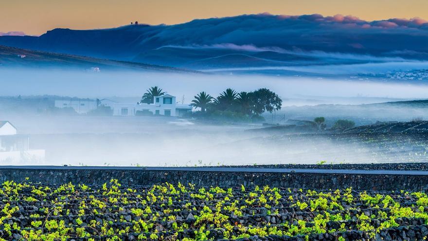 Lanzarote celebra el Día Internacional del Paisaje en su camino hacia el reconocimiento mundial