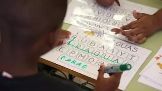 Así refuerzan la lectura los colegios de Alicante para mejorar las notas