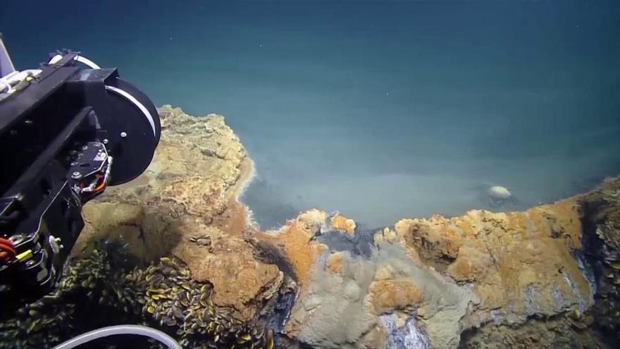 Un lago mortal en el océano del Golfo de México