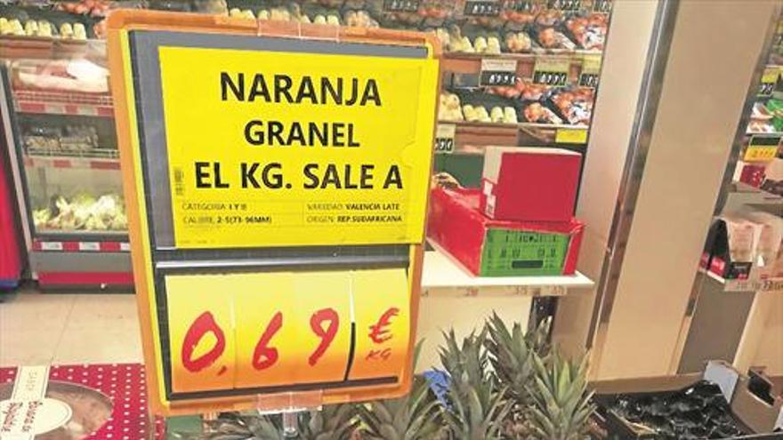 Naranjas de Sudáfrica en Nules